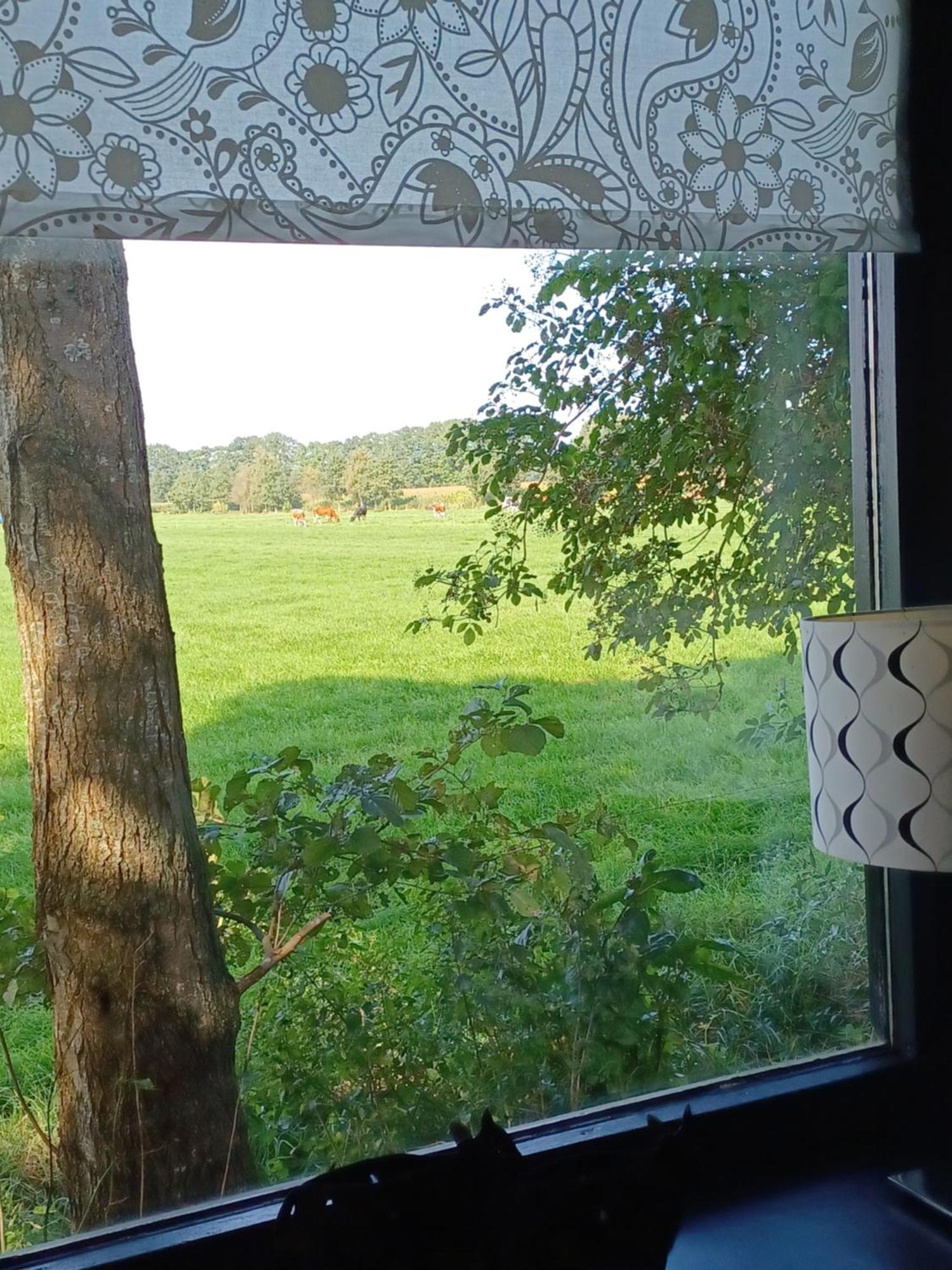 Pak Oe Rust, Bij Stacaravan Busscher Campsite